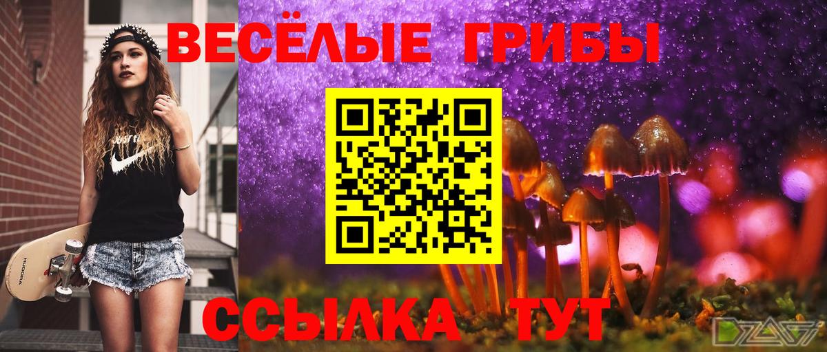 Галлюциногенные грибы MAGIC MUSHROOMS  Псилоцибиновые грибы Magic Shrooms  Сланцы  Вход с VPN 